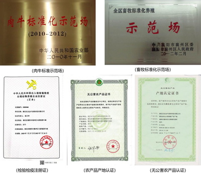 70年歷史國企推出&ldquo;豚點(diǎn)&rdquo;牛肉 供港品質(zhì)惠及武漢市民