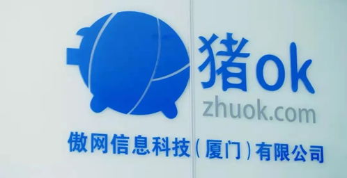 隱形廈門股 有哪些 這六家熟悉的上市企業(yè)注冊(cè)地并非廈門 丨觀瀾財(cái)經(jīng)