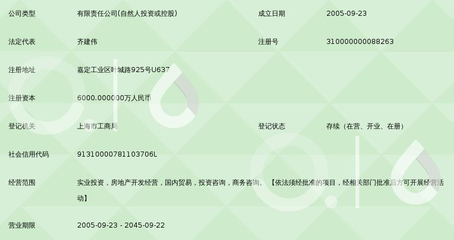 上海巨中投資集團(tuán)